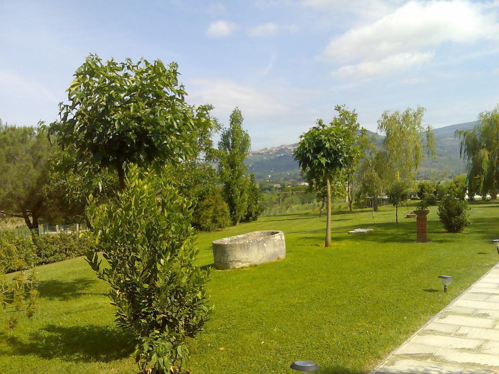 Agriturismo Podere Ossaia Cortona Oda fotoğraf